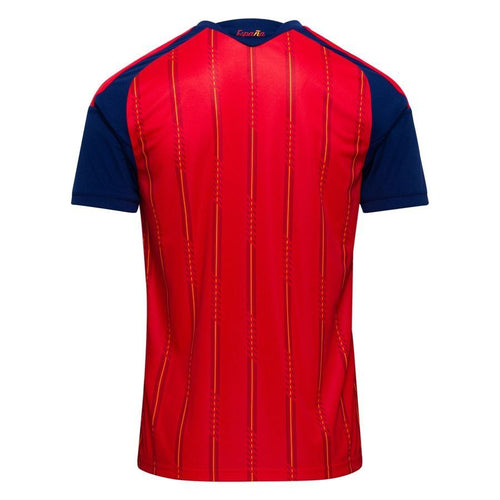 Maillot domicile Espagne