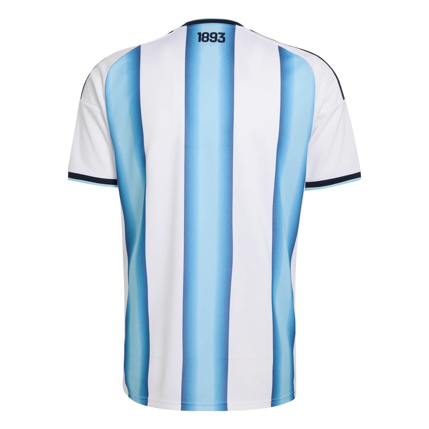 Maillot Fever Argentina National Team soccer jersey, white with sky blue and navy stripes, breathable fabric, 1893 detail.