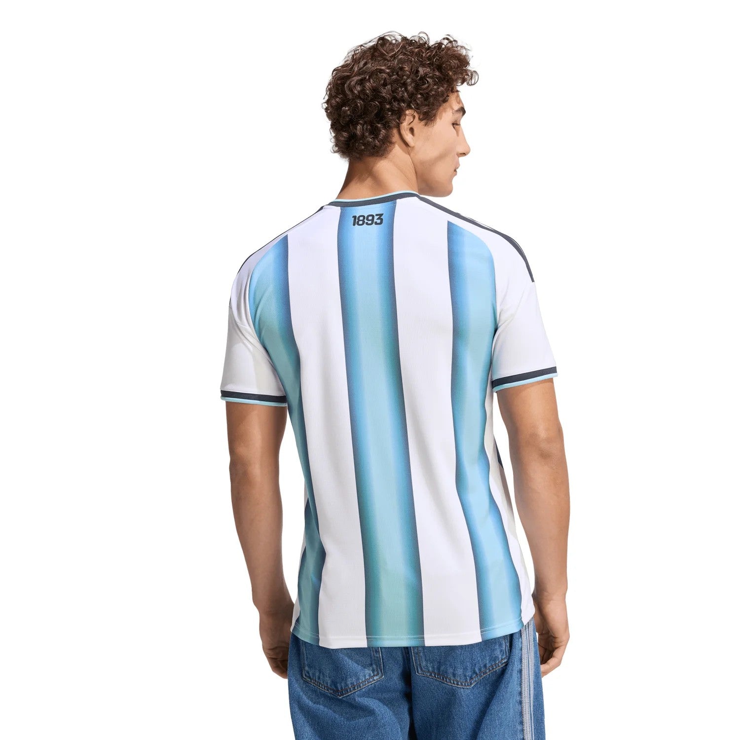 Maillot Fever Argentina National Team soccer jersey with sky blue and white vertical stripes, short sleeves, and "1893" on the back.
